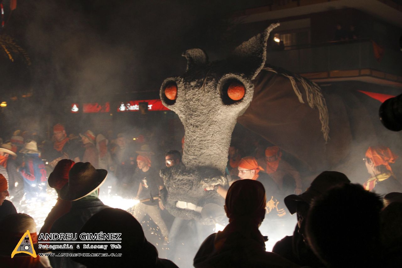 Corre-cuita del Camell 2013