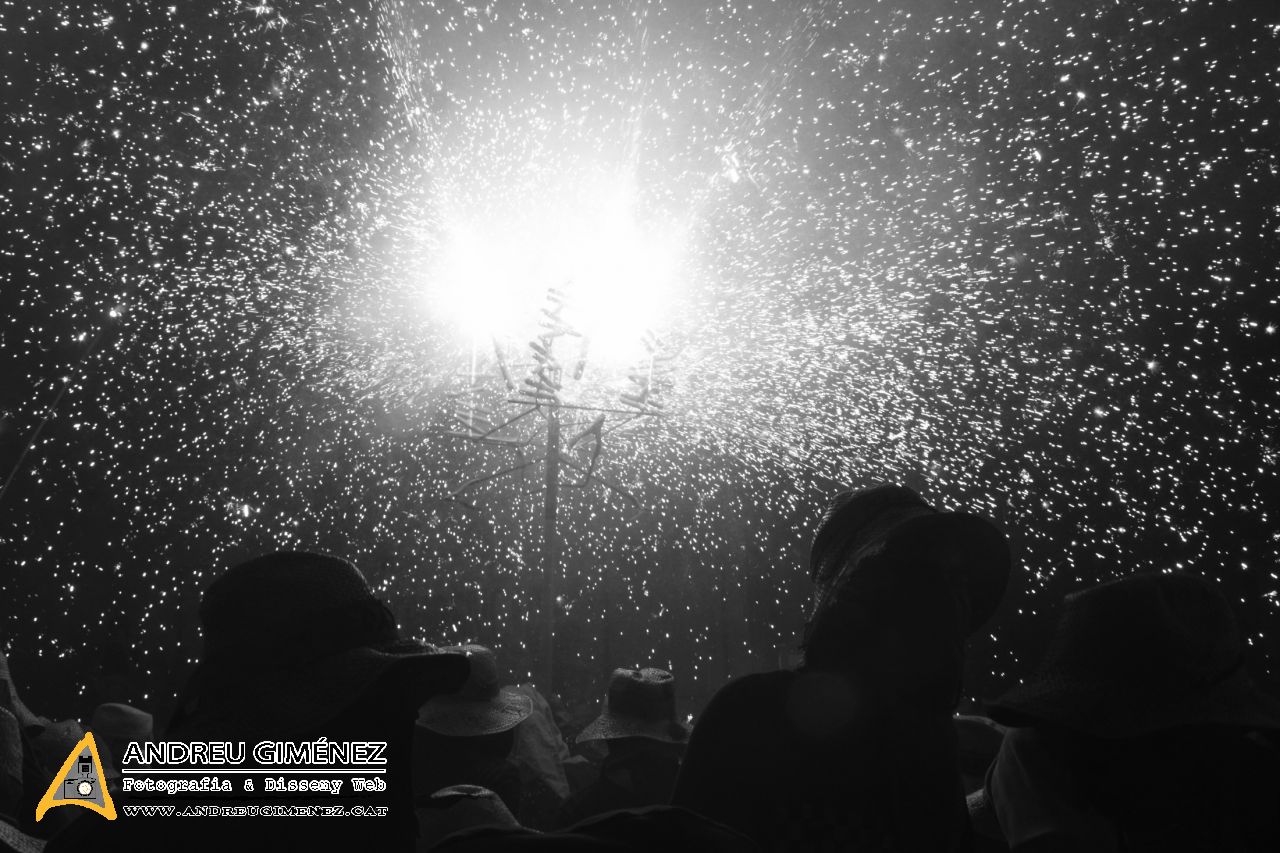 Corre-cuita del Camell 2013