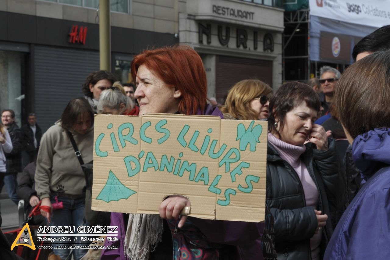 Protesta contra el maltractament animal  16F
