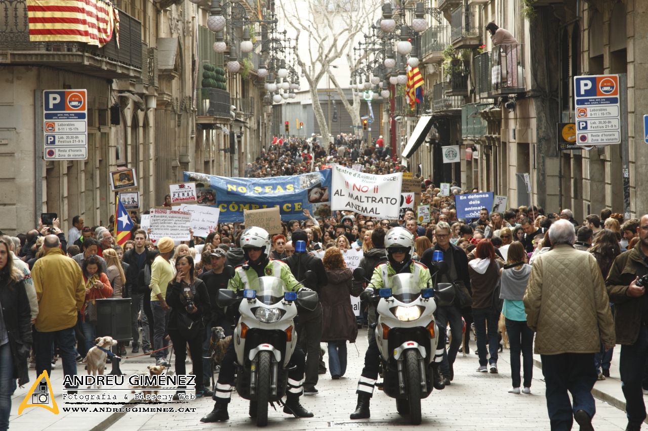 Protesta contra el maltractament animal  16F