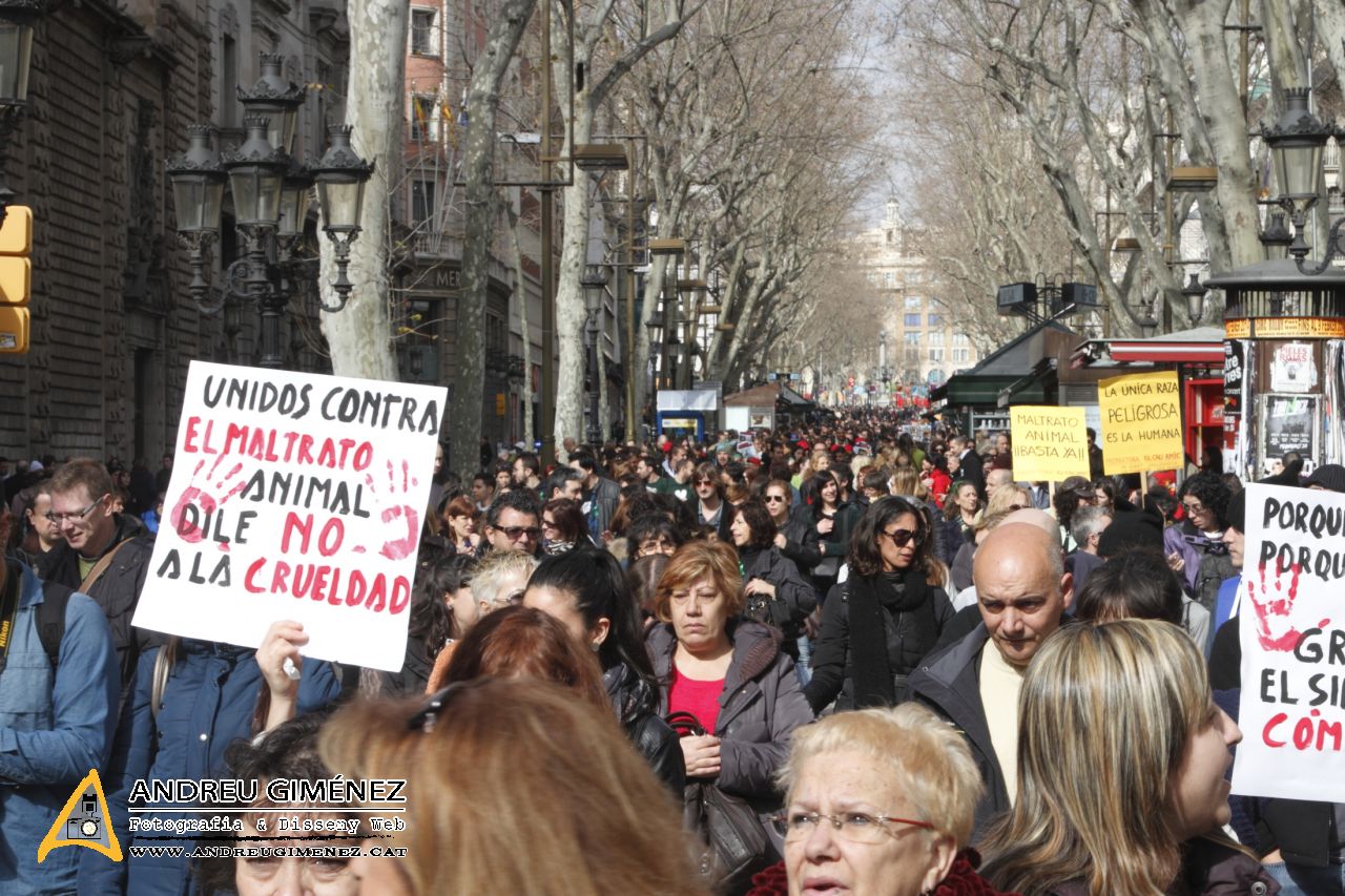 Protesta contra el maltractament animal  16F