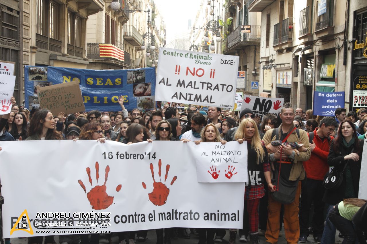 Protesta contra el maltractament animal  16F