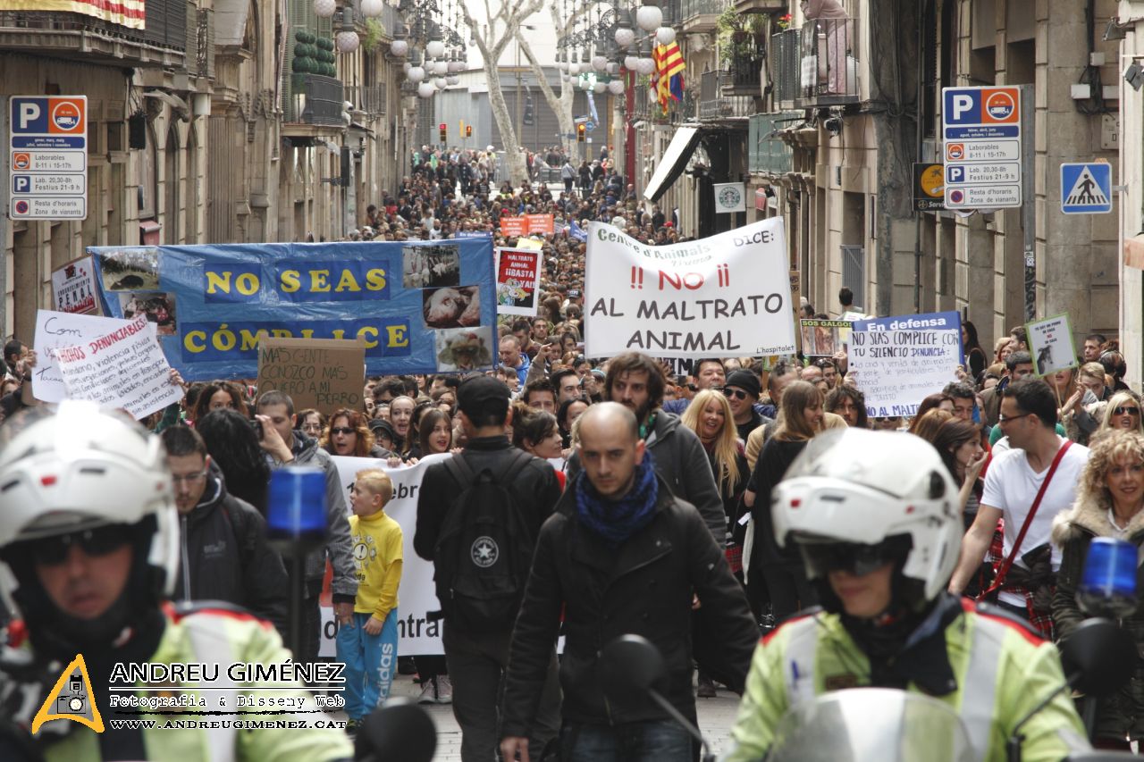 Protesta contra el maltractament animal  16F