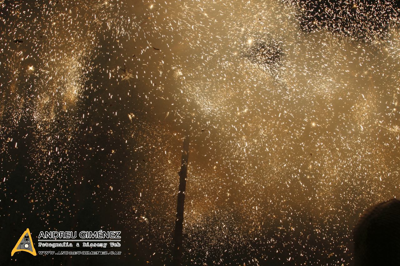 Corre-cuita del Camell Carnestoltes 2014