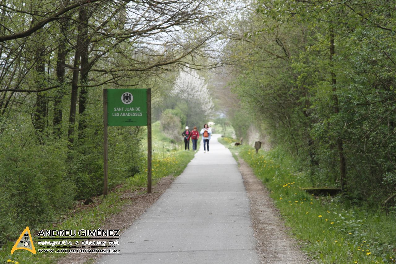 Ruta del Ferro i del Carbó 