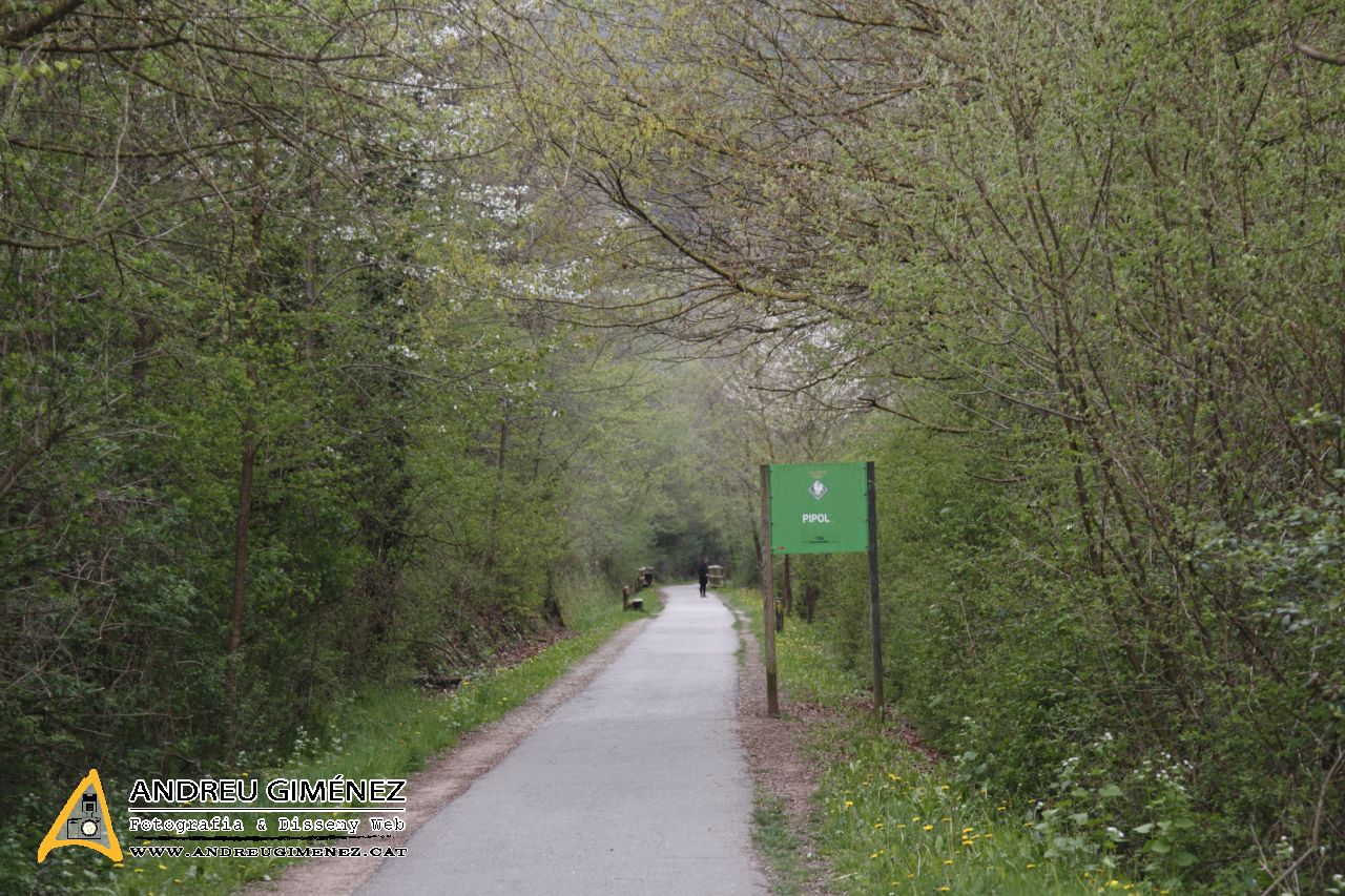 Ruta del Ferro i del Carbó 