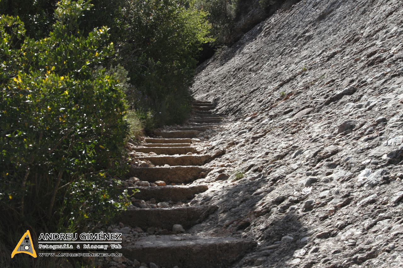 Ruta entre Monistrol i Sant Jeroni 1236m