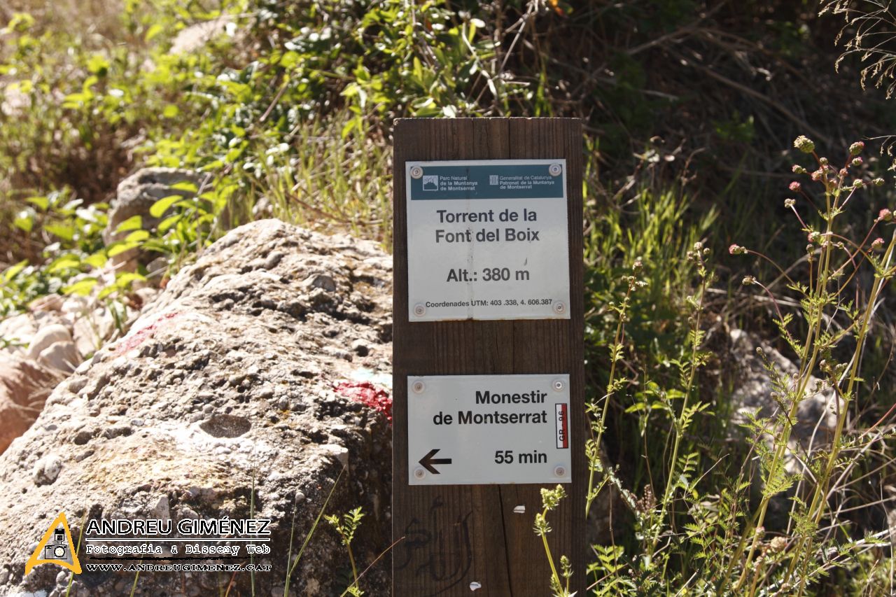 Ruta entre Monistrol i Sant Jeroni 1236m