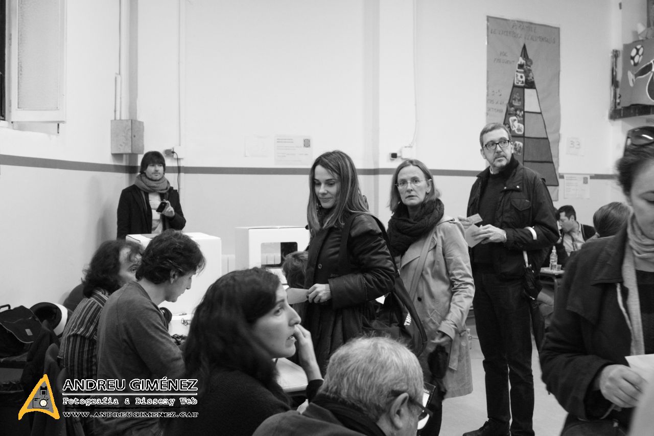 Procés de participació ciutadana 9-N