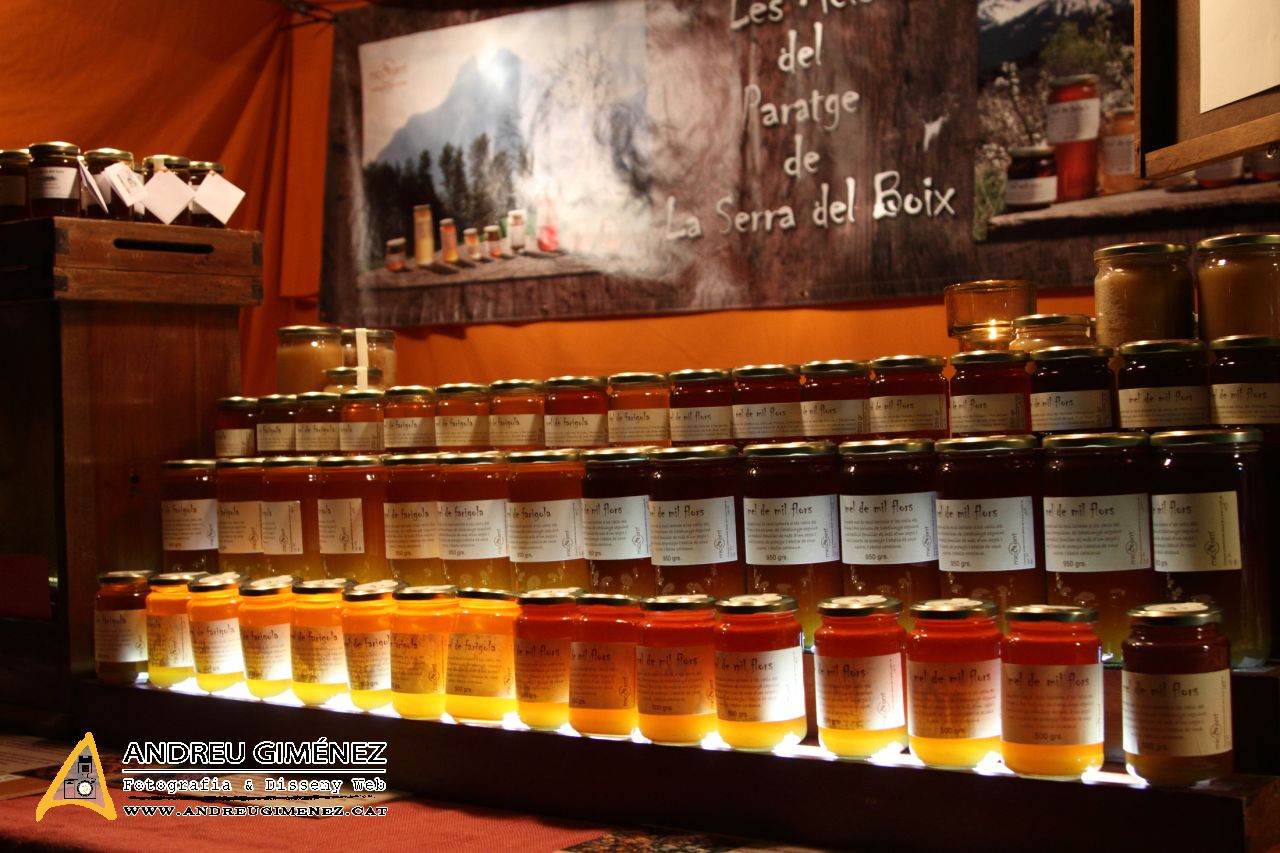 Mercat Medieval de Vic 2014