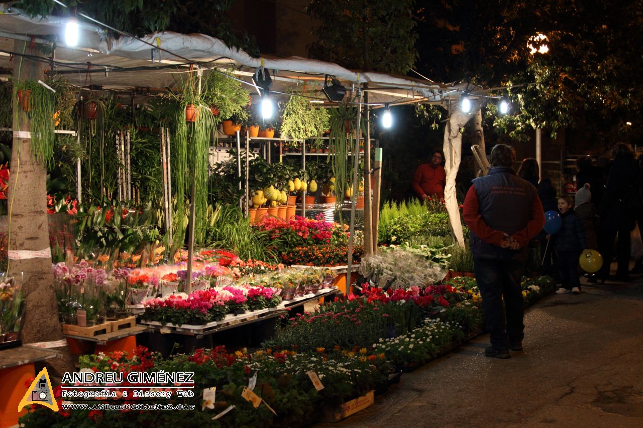 Fira de la Candelera 2015