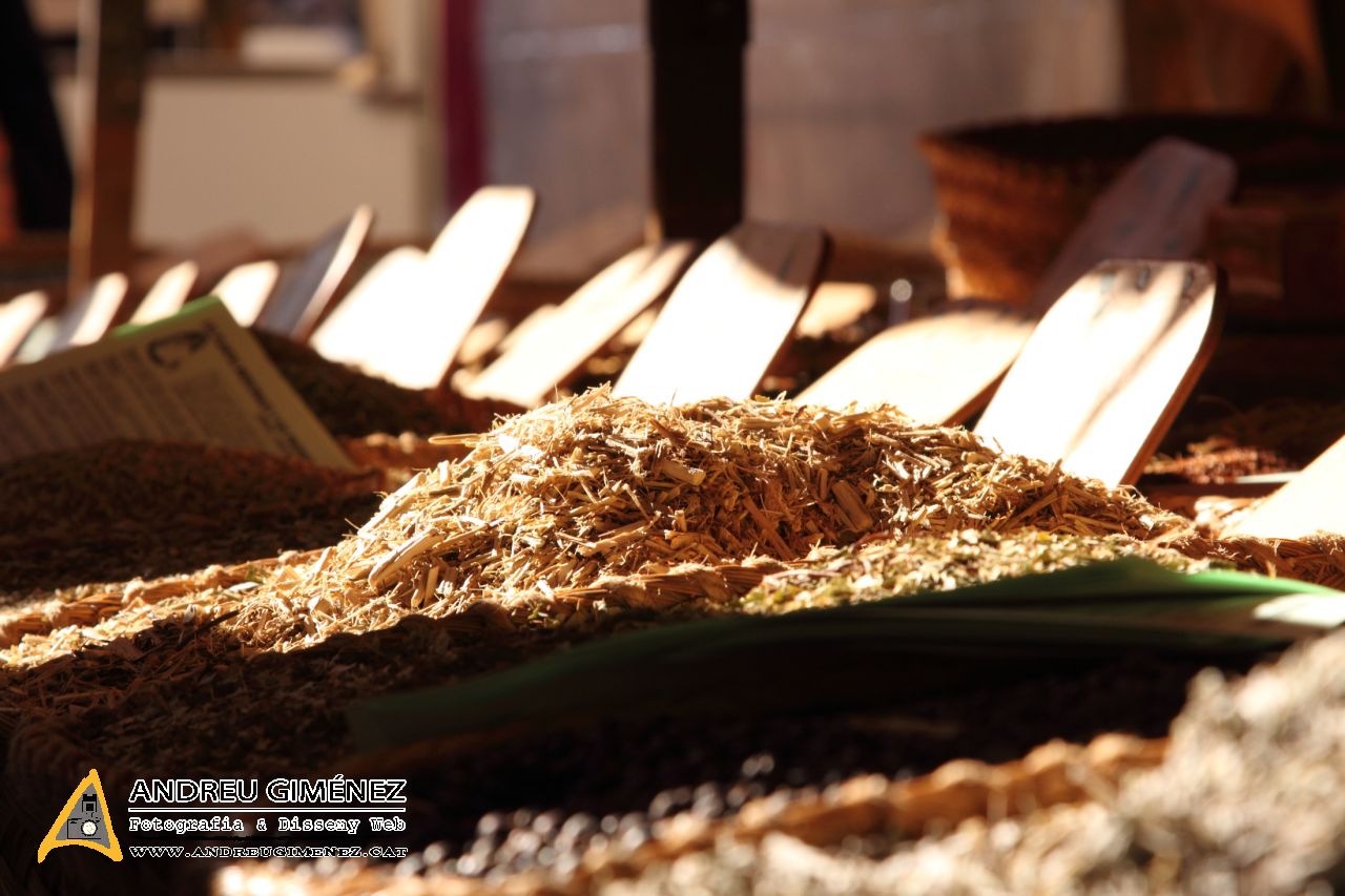 Fira de la Candelera 2015