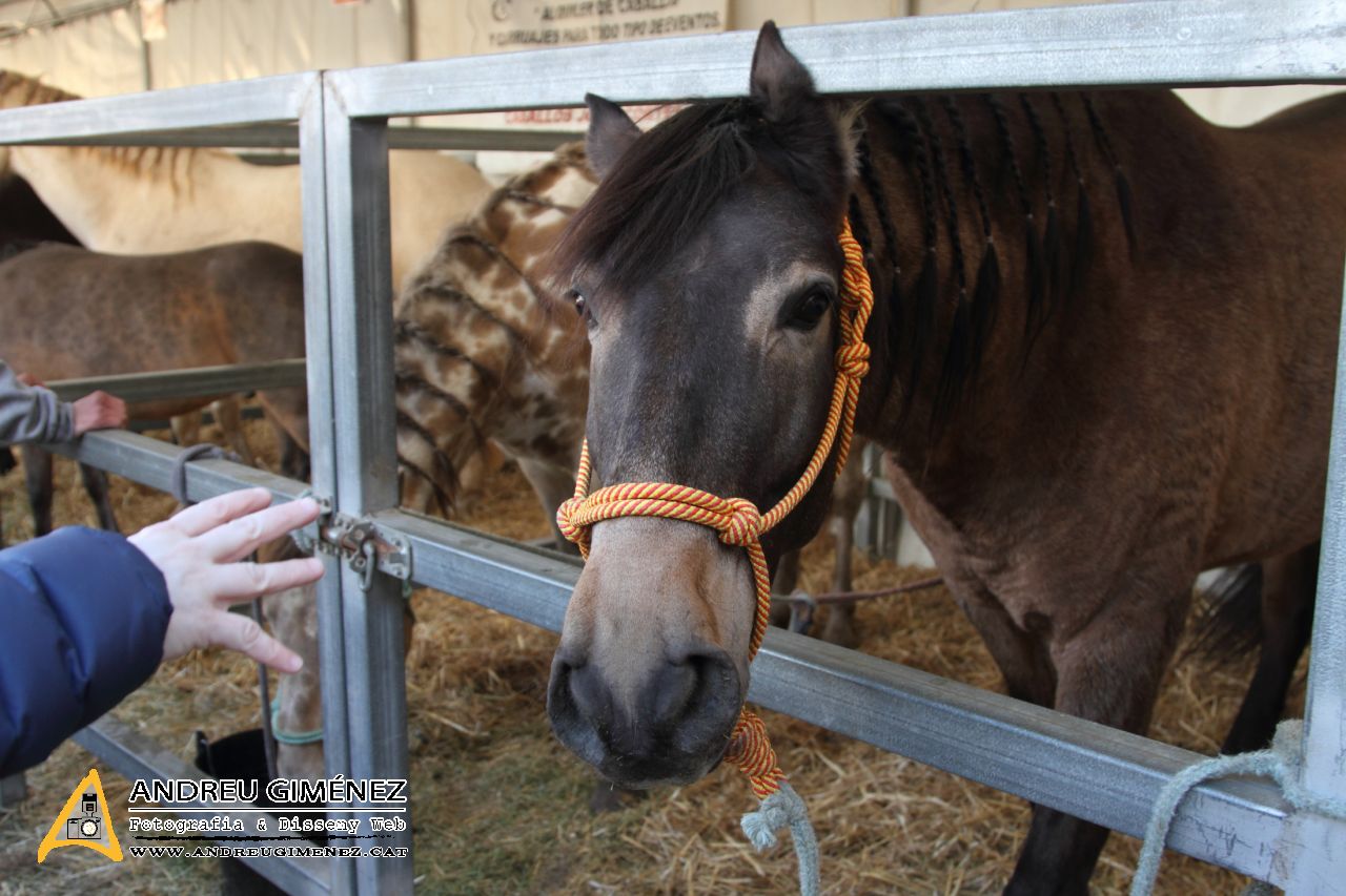 Fira de la Candelera 2015