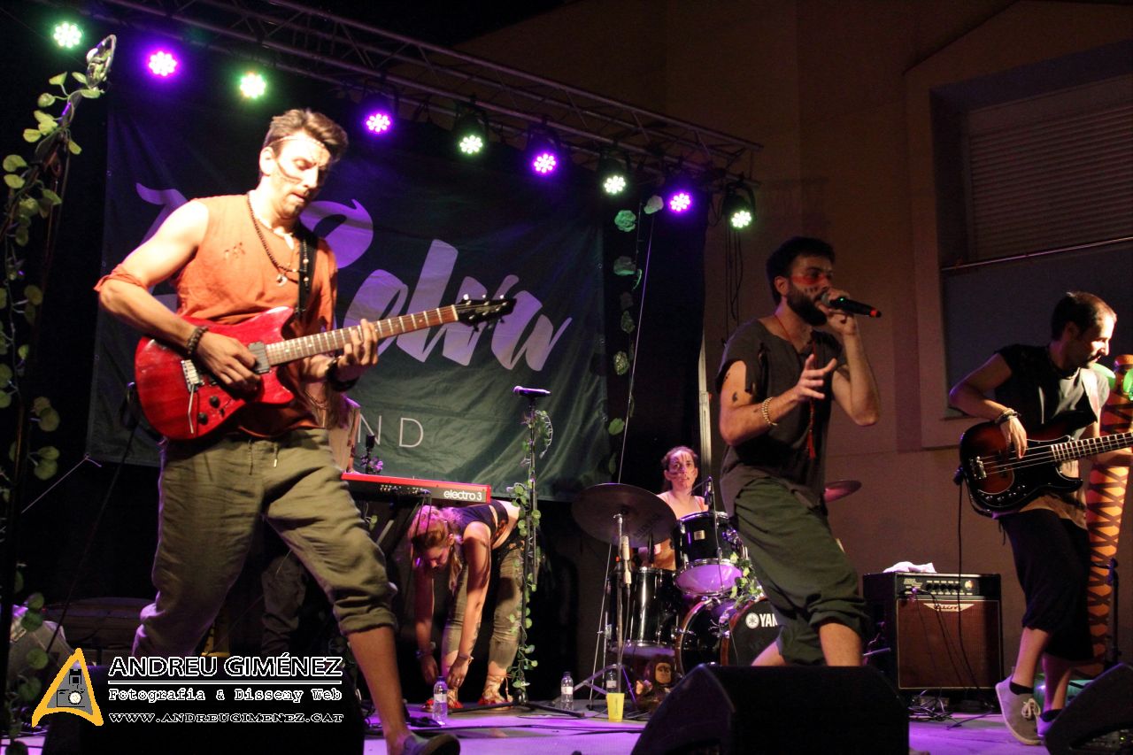 Sant Joan 2017 a Molins de Rei