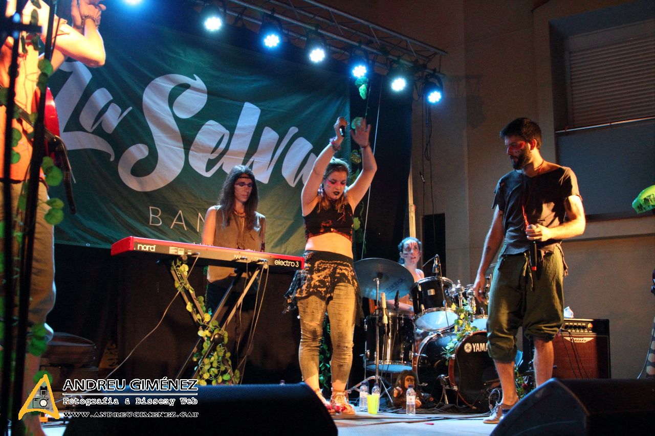 Sant Joan 2017 a Molins de Rei