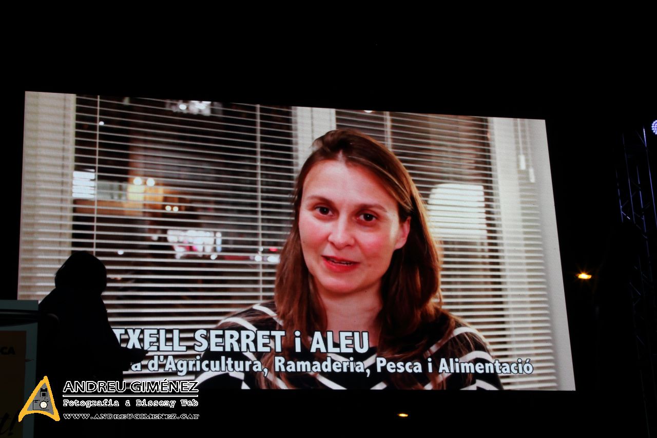 Llibertat dels presos polítics 11N