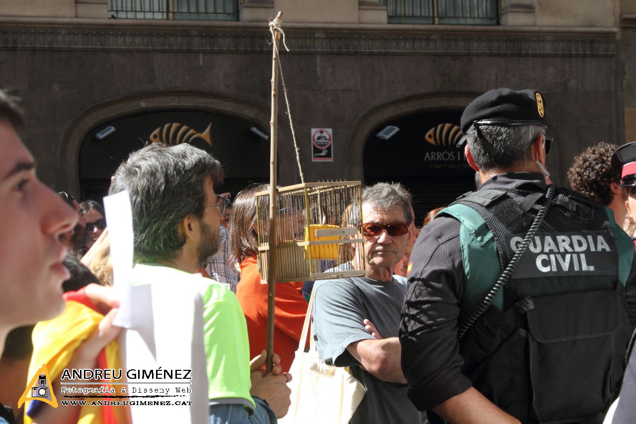 Protesta massiva contra les detencions 20S