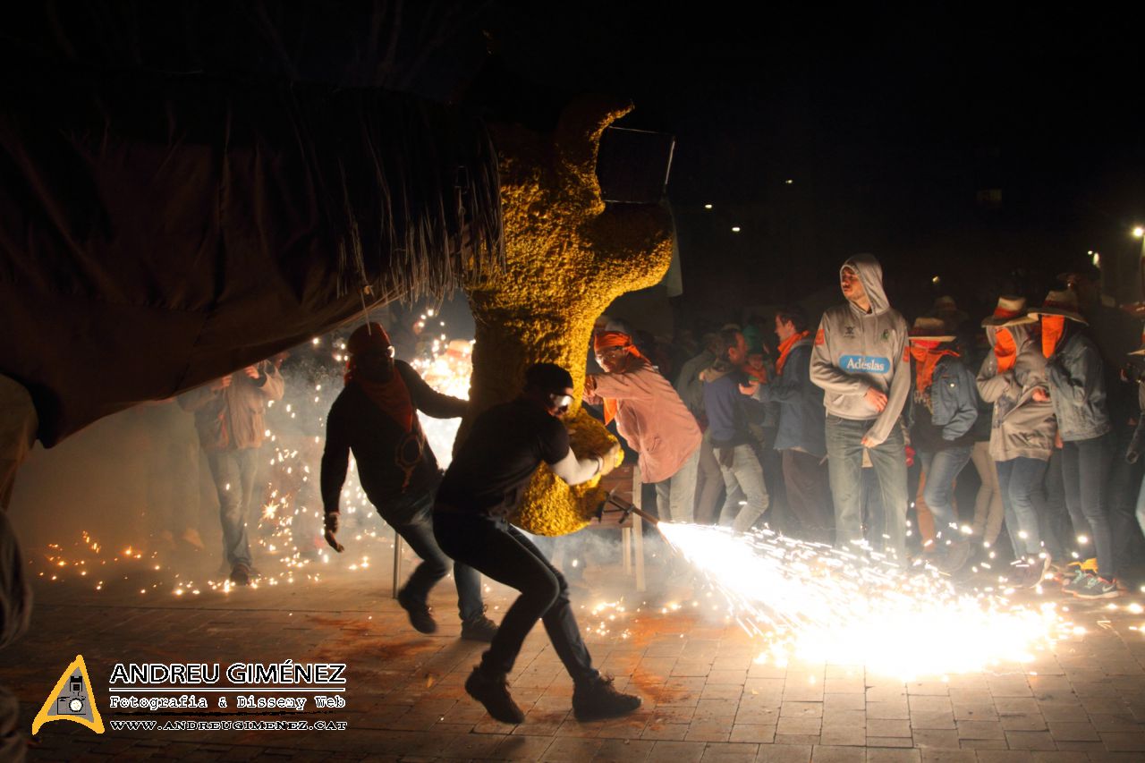 Corre-cuita del Camell Carnestoltes 2018