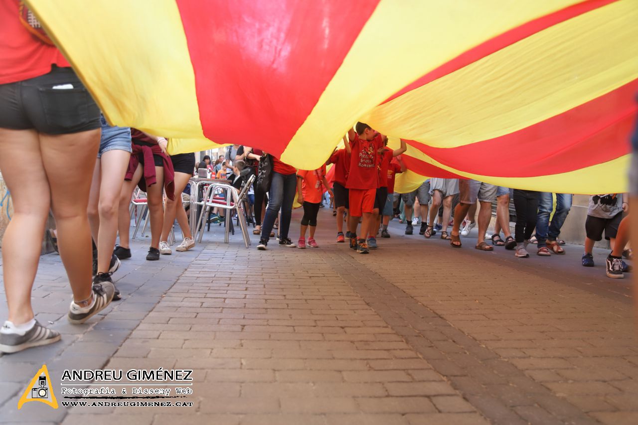 Sant Joan 2019 a Molins de Rei