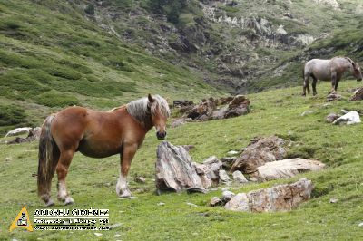 De Vall de Núria al Noucreus 2799m