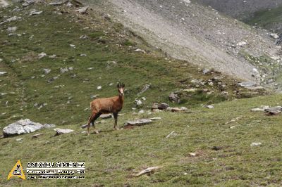 De Vall de Núria al Noucreus 2799m