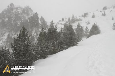 Nevada a la Vall de Núria