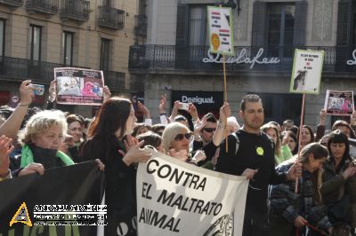 Protesta contra el maltractament animal  16F