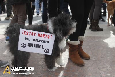 Protesta contra el maltractament animal  16F