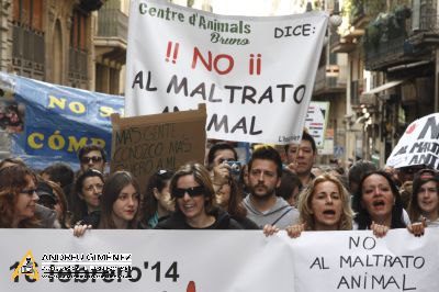 Protesta contra el maltractament animal  16F