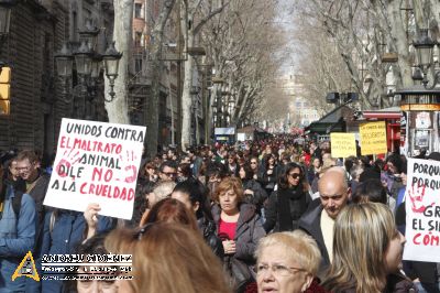 Protesta contra el maltractament animal  16F