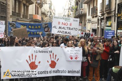 Protesta contra el maltractament animal  16F