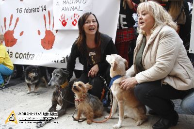 Protesta contra el maltractament animal  16F