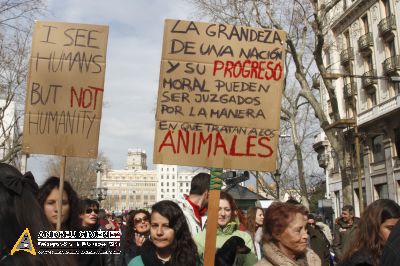 Protesta contra el maltractament animal  16F