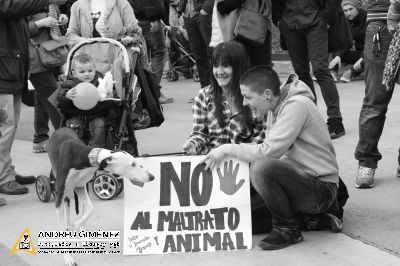 Protesta contra el maltractament animal  16F