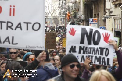 Protesta contra el maltractament animal  16F