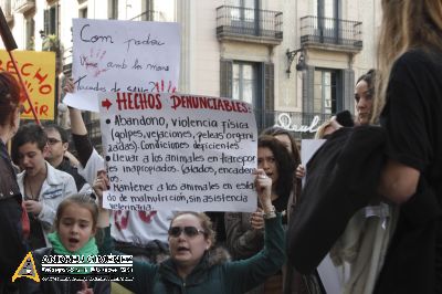 Protesta contra el maltractament animal  16F