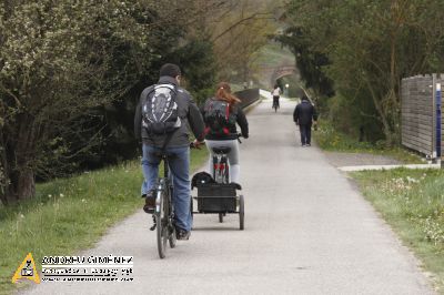 Ruta del Ferro i del Carbó 