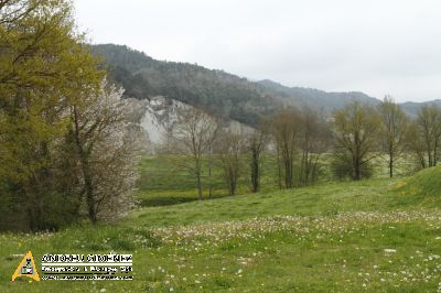 Ruta del Ferro i del Carbó 