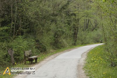 Ruta del Ferro i del Carbó 