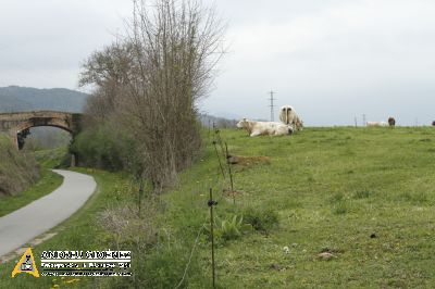 Ruta del Ferro i del Carbó 