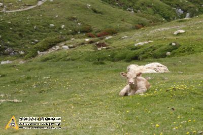 De la Vall de Núria al Pic de Noucreus