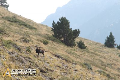 De la Vall de Núria al Puigmal 2913m