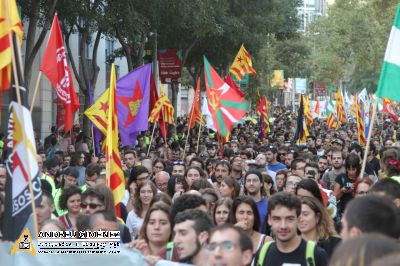 Manifestacions de l´11S de 2017